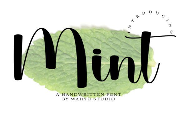Mint: A Fresh Take on Playful Script Fonts